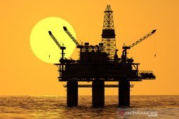 Argentina laporkan perusahaan minyak terkait pengeboran di Falkland