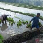 Food security is a global security imperative