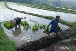 Food security is a global security imperative