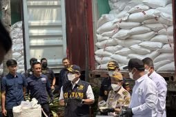 DJBC: 30 kontainer beras-garam ilegal disamarkan sebagai bahan kimia