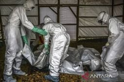 Kasus Ebola di Kongo meningkat jadi 6.604 kasus