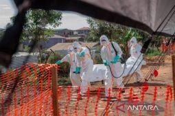 Korban meninggal akibat Ebola di Kongo 3.000 orang lebih