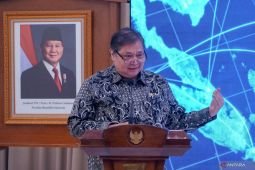 Airlangga nilai laporan MSCI tak cerminkan fundamental ekonomi RI