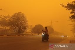 Asap pekat akibat karhutla masih selimuti Palangka Raya