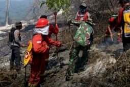Authority reopens Mt. Rinjani's Senaru hiking trail after land fire