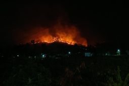 Karhutla di Ponorogo capai 341,85 hektare