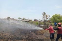 Damkarmat Tulungagung tangani enam kebakaran sehari