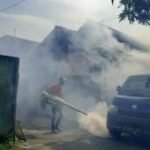 Dinkes Tulungagung pantau perkembangan kasus DBD