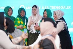 Anggota DPR dorong pengembangan 157 desa kreatif di Trenggalek