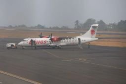 Haze from forest fires impacts 2,458 flights nationwide: ministry