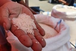 Harga beras medium dan premium naik tipis 0,16 persen