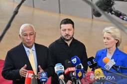 Zelenskyy: Pelonggaran sanksi Rusia bisa berlanjut, mulai dari diesel
