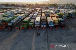 Pengamat: Kemacetan di Ketapang diduga akibat maraknya truk ODOL