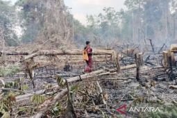 Prabowo gives Tabalong Rp10 billion for wildfire response