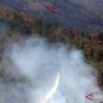 BPBD Pasuruan tangani kebakaran hutan di lima kawasan setempat