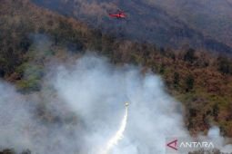 BPBD Pasuruan tangani kebakaran hutan di lima kawasan setempat