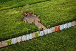Sawah bukan sekadar latar wisata