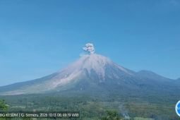 Semeru sembilan kali erupsi dengan tinggi letusan hingga 900 meter