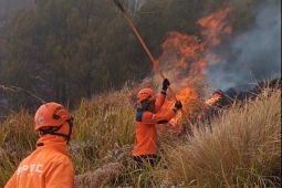 BPBD jelaskan kronologi karhutla Bromo yang menimbulkan korban jiwa