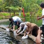 Mahasiswa Fikkia Unair gelar pengadian masyarakat di Banyuwangi