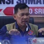 BNPB desak penegak hukum tegas usut 44 area konversi hutan terbakar