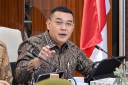 Wamen:  Pemerintah matangkan kelembagaan BRAN termasuk kewenangan