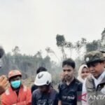 Indonesia to raise forest rangers to 70,000 from 4,500