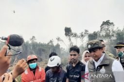 Indonesia to raise forest rangers to 70,000 from 4,500