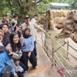 Bambang Haryo minta KBS hadirkan atraksi budaya untuk tarik wisatawan