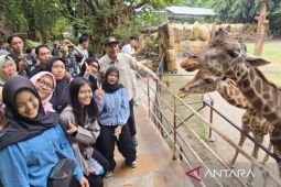 Bambang Haryo minta KBS hadirkan atraksi budaya untuk tarik wisatawan