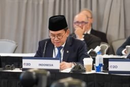 Mendag dorong aksi bersama perkuat ketahanan pangan global di G20 TMM