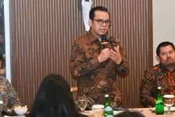 Wamenkomdigi anjurkan pelaku bisnis kenali agen AI yang digunakan