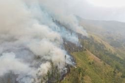 Bromo wildfire death toll rises to four, local authorities say