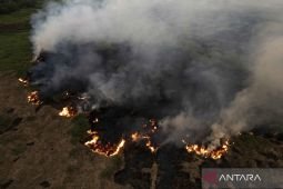 BMKG deteksi lonjakan 3.663 titik panas di Pulau Sumatera