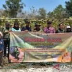 Bangkalan sinergikan BUMDes dengan poktan kembangkan usaha pertanian
