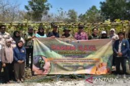 Bangkalan sinergikan BUMDes dengan poktan kembangkan usaha pertanian