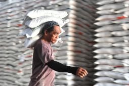 Mentan Amran: Stok beras 4,5 juta ton siap hadapi El Nino ekstrem