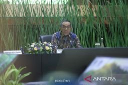 Kemdiktisaintek libatkan kampus kelola lahan gambut dan mangrove
