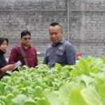 Ketua Komisi A DPRD Surabaya dorong pengembangan urban farming
