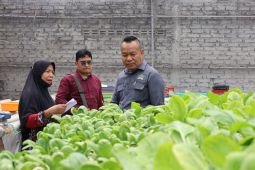 Ketua Komisi A DPRD Surabaya dorong pengembangan urban farming
