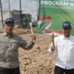 SGN perkuat pasokan tebu PG Rendeng lewat kemitraan dengan petani
