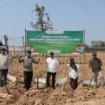 Kementan dorong peremajaan tebu untuk swasembada gula