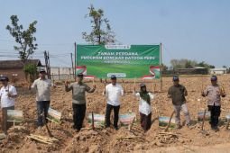 Kementan dorong peremajaan tebu untuk swasembada gula