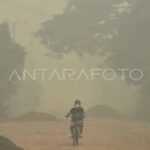 Regional cooperation can speed wildfire response: MPR deputy speaker