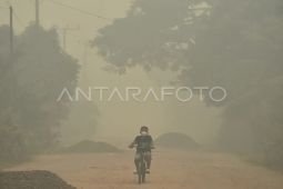 Regional cooperation can speed wildfire response: MPR deputy speaker