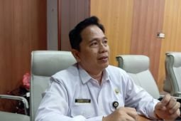Dinsos PPPA Jember pastikan perlindungan korban kekerasan di SR