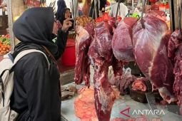 RPH Surabaya pastikan pasokan daging sapi cukup
