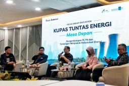 ITS dorong diversifikasi energi untuk jaga pasokan listrik nasional