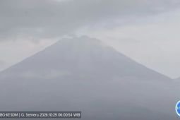 Gempa letusan masih mendominasi aktivitas Gunung Semeru