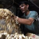 Mendag buka opsi subsidi perajin tempe imbas harga kedelai naik